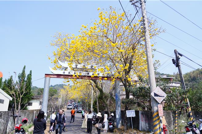 不过路旁停放的车辆与摊商，让游客爆气认为很煞风景，破坏美感。（吴建辉摄）