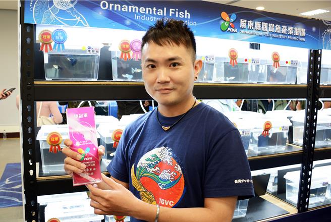 今年拿下孔雀魚冠軍的陳奕瑞透露，勝出關鍵就是讓公魚禁慾2個月。(林和生攝)