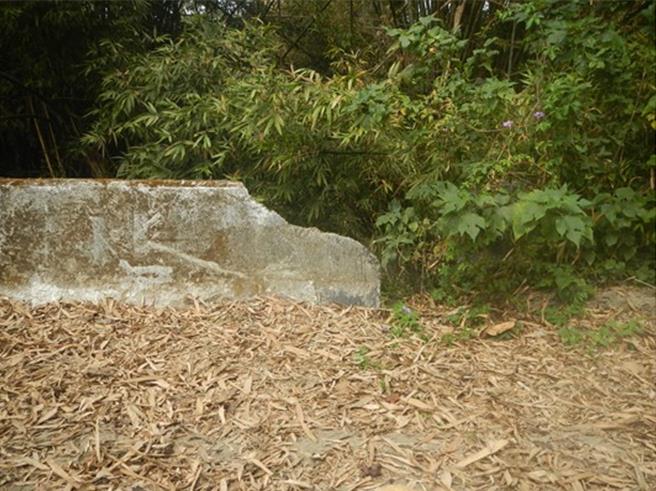 谢男遭弃置在养鸡场附近。(读者提供／曹婷婷台南传真)