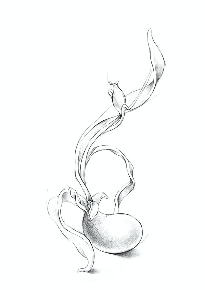 趙心綺與學生合力創作蠟雕作品手繪稿。（CINDY CHAO提供）