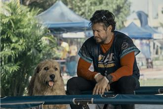 馬克華柏格《極限長征》膝蓋撕裂不喊卡 愛狗成痴曝想賄賂訓犬師