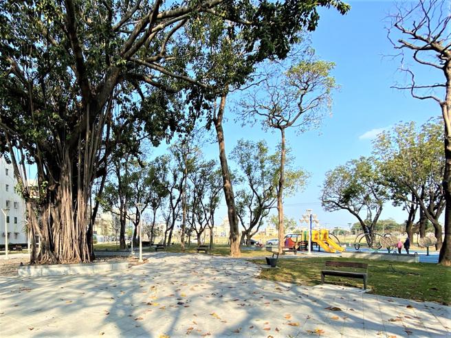 园内有多种树种，为公园提供舒适遮荫绿意空间（图片来源：高雄市工务局提供）