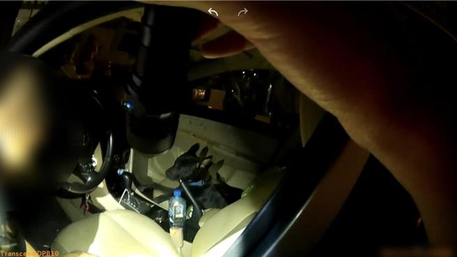 陳嫌飼養的小黑狗乖乖趴坐車內。（警方提供）