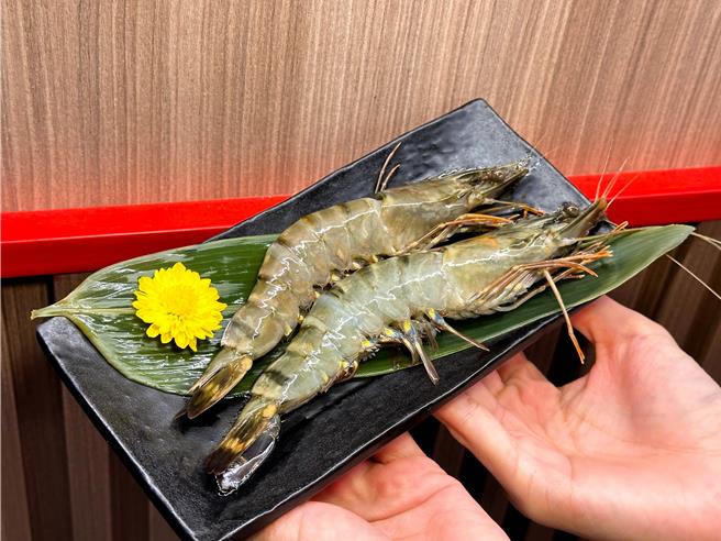 当月寿星到店用餐并打卡分享，即赠肉质Q弹的「巨大海虎虾」，需提前至少1日预约用餐。(肉之间．大盘肉幸福锅物提供)
