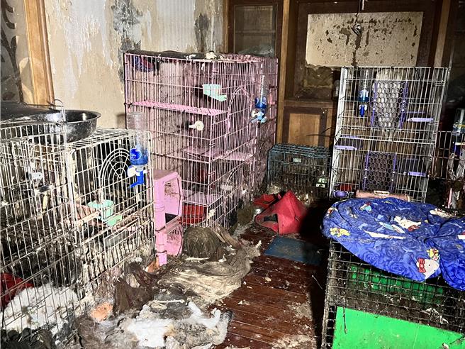 桃园市动保处在李女租屋处发现20多具猫狗乾尸，带回16具完整尸体进一步厘清死因。(桃市动保处提供／吕筱蝉桃园传真)