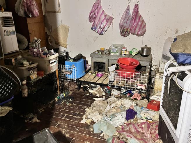 桃园市动保处在李女租屋处发现20多具猫狗乾尸，带回16具完整尸体进一步厘清死因。(桃市动保处提供／吕筱蝉桃园传真)
