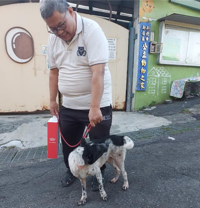 认养人杨先生带Cookie回家。（新北市动保处提供）