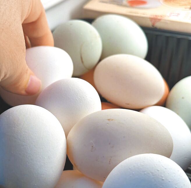 本周適逢開學，但雞蛋還有庫存，雞蛋價格仍維持每台斤49元、產地價39.5元。（李欣恬攝）