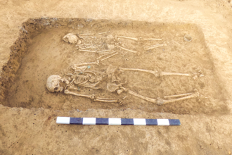 3000年前「人力车」首亮相 用途曝！还压了2遗体