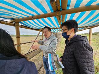 改善小燕鸥繁殖栖地 桃园副市长率队会勘降干扰
