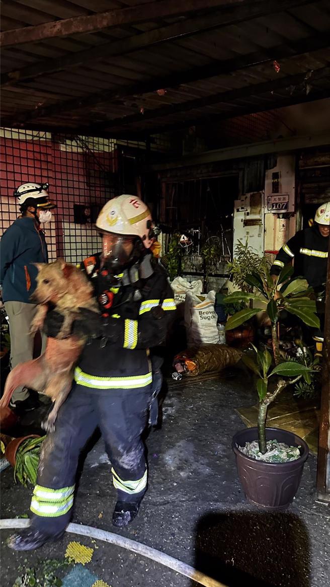 新化深夜火警，警消搶救4隻狗逃離火場。（讀者提供／曹婷婷台南傳真）