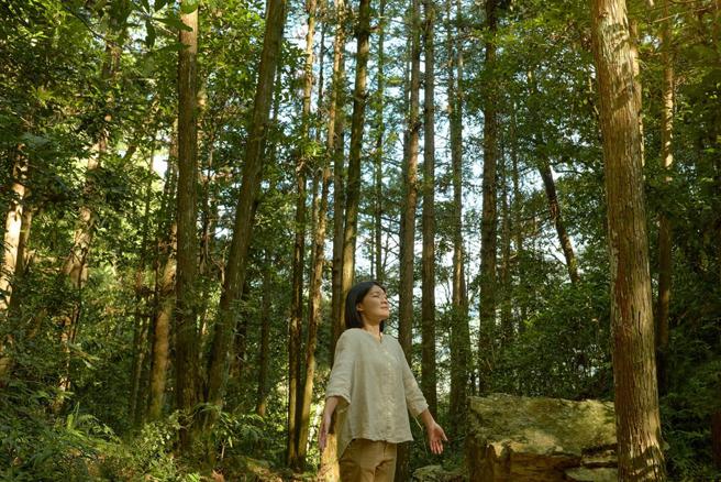 虹夕诺雅 谷关延续沐暑度假村的主轴，以五感沉浸山林、疗癒身心，准备活力迎接盛夏。图/星野集团提供