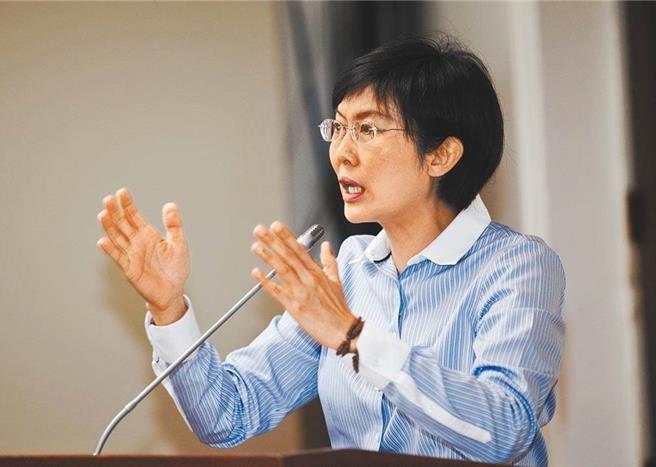 民進黨高雄市立委林岱樺。（本報資料照片）