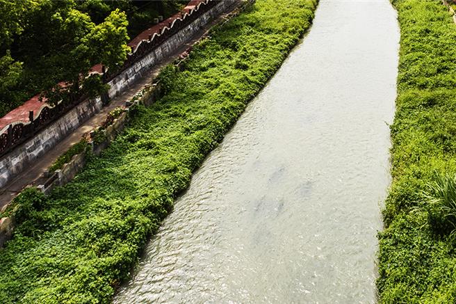 竹北市豆子埔溪近來因建案工地廢水排放遭汙染成牛奶河。（羅浚濱攝）