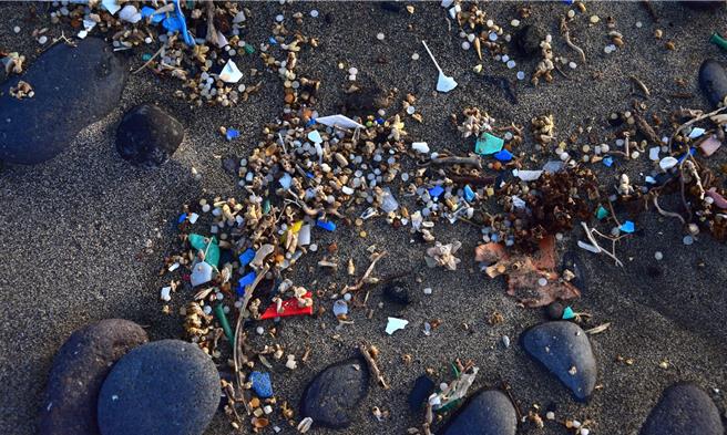 地球上的塑胶微粒污染日见增加（美联社）