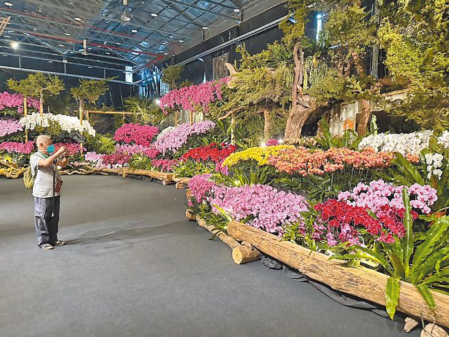 台湾国际兰展今年开幕首个周末逢元宵节，与其他地区的灯会、庆典活动撞期，参观人潮较去年同期锐减。（白河警分局提供／张毓翎台南传真）