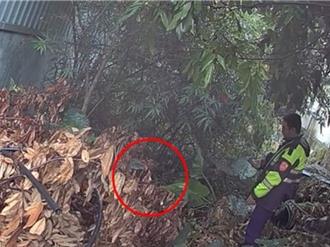 民宅翻箱倒櫃！見警上門落跑躲草叢 女「4條通」被活逮