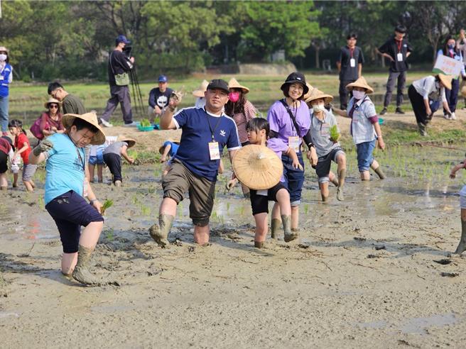 初春忙插秧，六堆客家園區邀民眾下田體驗。(六堆客家文化園區提供)