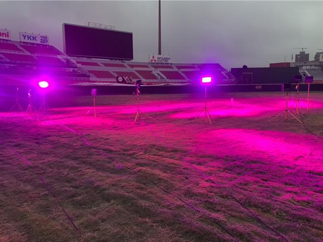桃园棒球场目前正在进行优化工程，桃园市体育局加装植物生长灯，让草皮生长状况更佳。（桃园市体育局提供）