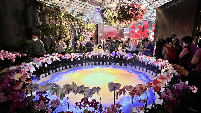 位于台南后壁的台湾国际兰展，上周末开幕强碰元宵节致人潮不如以往，如今元宵节过后，让原本想看兰花的民眾，纷纷回流到228假期前往观赏。（张毓翎摄）