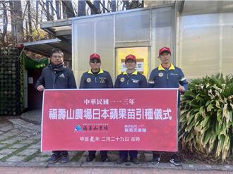 福壽山引進新種蘋果樹 3年苗木後年就可以收成了