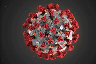 新冠損害神經認知！英研究：「腦霧」傷害相當於智商降6分