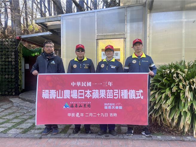 新品種蘋果苗木經檢疫人員確認後，29日移入福壽山農場檢疫溫室。（福壽山農場提供／陳淑娥台中傳真）