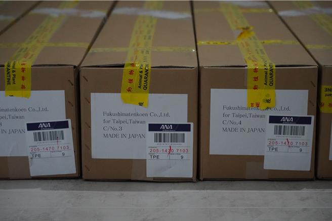 蘋果苗木空運送抵農場，等待防檢局人員查驗。（福壽山農場提供／陳淑娥台中傳真）