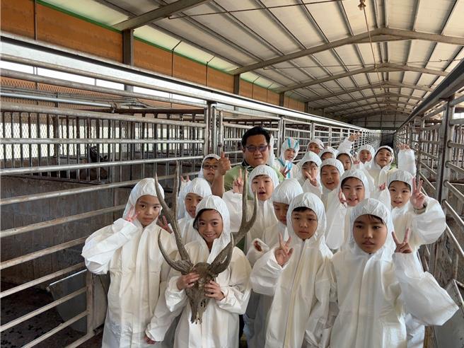 小学生拜访七股区台湾鹿种鹿场，认识鹿的饲养管理及鹿茸生技产品研发。（曹婷婷摄）