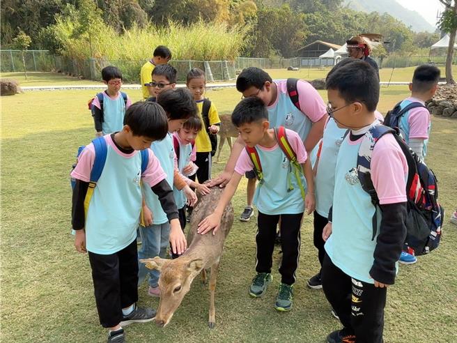 「小鹿好可爱」，小学生们近距离观察鹿，好奇不已。（曹婷婷摄）