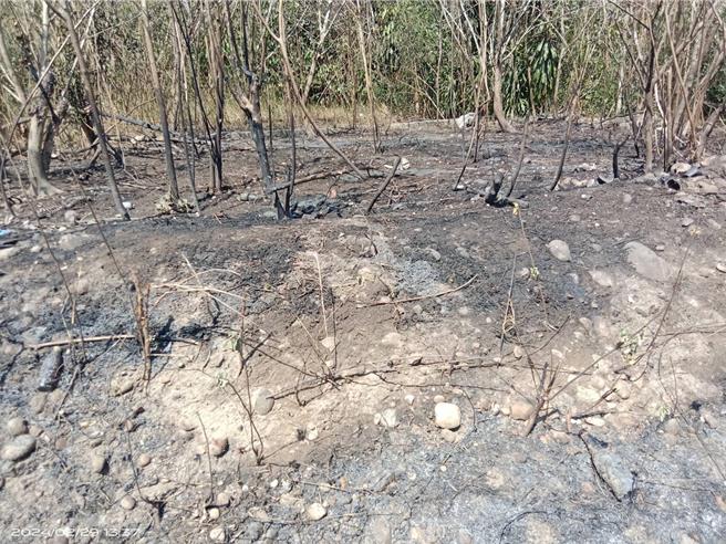 台电说明，大树停电事故是因电杆旁边林地不明原因草皮火灾向上延烧，火灾烧损引起高压导线外皮破损，及树木掉落碰触高压设备造成馈线跳脱，火势已扑灭，目前设备检视中。（台电提供）