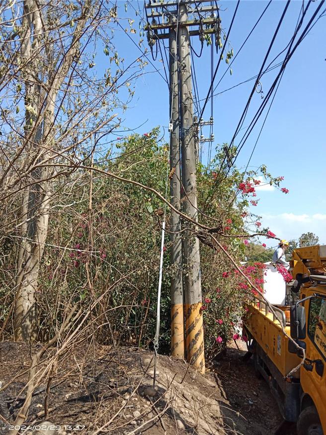 台电说明，大树停电事故是因电杆旁边林地不明原因草皮火灾向上延烧，火灾烧损引起高压导线外皮破损，及树木掉落碰触高压设备造成馈线跳脱，火势已扑灭，目前设备检视中。（台电提供）