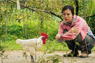 林柏宏新片練「手抓雞」 與劉品言尬800隻放山雞超震撼