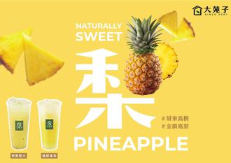 大苑子金鑽鳳梨季3／2登場