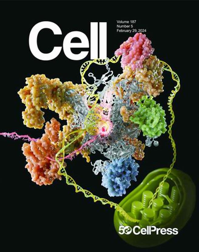 陸科學家以8年突破性進展補上這一領域最後一塊拼圖。（中國科學院分子植物科學卓越創新中心）