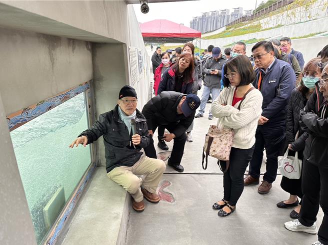 碧潭堰新建的「豎槽斜隔壁水池式」魚道，打通46年來舊堰體造成的廊道中斷，讓民眾可透過魚道觀察窗親眼看到魚兒溯游。（新北市環保局提供）