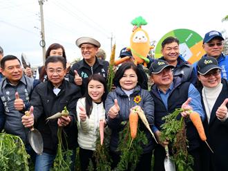 「國際台灣胡蘿蔔日」雲林登場 逾2萬人一起拔蘿蔔創紀錄