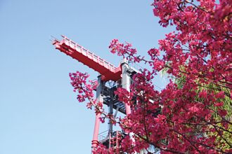 櫻花季 麗寶OUTLET人潮增2成