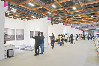 補助對象限縮 策展人嘆排擠效應