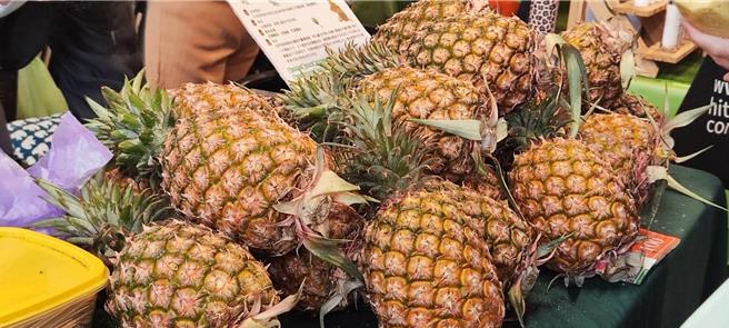 农业部原本预估去年凤梨出口可达2万公吨，未料出口最主要国家的日本，却受到贬值等原因导致需求不振，去年出口至日本仅有1万5000吨、整体外销仅有1万7000吨未达目标。（林良齐摄）