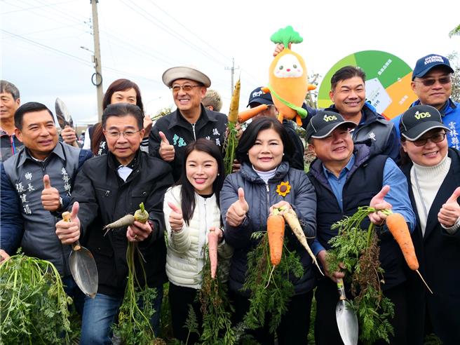 雲林縣政府與在地企業「VDS活力東勢」公司2日共同舉辦「國際台灣胡蘿蔔日」，吸引2萬餘人到場拔蘿蔔，雲林縣長張麗善（前右三）表示東勢鄉有最好的土質與氣候，種出最美味、安全胡蘿蔔，可說是胡蘿蔔的故鄉。（張朝欣攝）