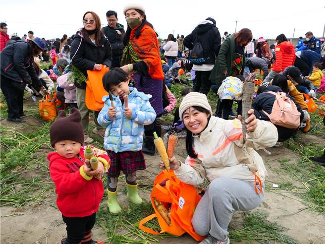 雲林縣東勢鄉胡蘿蔔產量全台第1，雲林縣政府與在地企業「VDS活力東勢」公司2日共同舉辦「國際台灣胡蘿蔔日」，吸引2萬餘人到場拔蘿蔔，人數創歷年最多紀錄。（張朝欣攝）