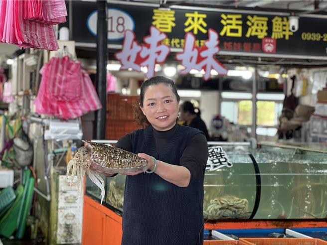 新北市石门富基渔港现正值花枝盛产季，民眾可以近距离观察并选购鲜活花枝。（新北市渔业处提供／张铠乙新北传真）