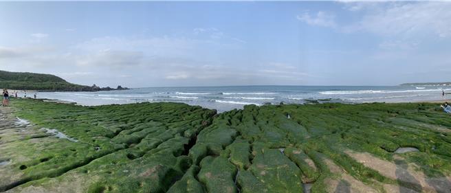 东北角知名的疗癒景点「老梅绿石槽」，放眼望去一片绿意盎然，为春季限定美景。（新北市渔业处提供／张铠乙新北传真）