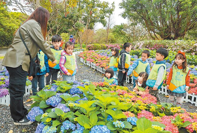 台北杜鵑花季1日於大安森林公園露天音樂台舉辦花展記者會，為期1個月的花季，預料將吸引大批民眾前來觀賞。在盛開的繡球花前，幼兒園的老師也帶著小朋友辨別花種。（粘耿豪攝）