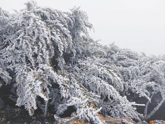 冷气团减弱全台回暖 6日又要变天
