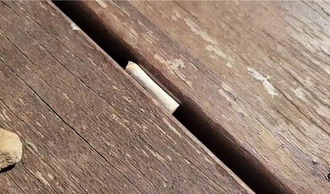 屏東縣民公園全面禁菸，但2日卻疑似有國中棒球隊學生躲在公園暗處偷抽菸還點火取暖，屏東消防局火調科3日到現場進行火調。（民眾提供／謝佳潾屏東傳真）