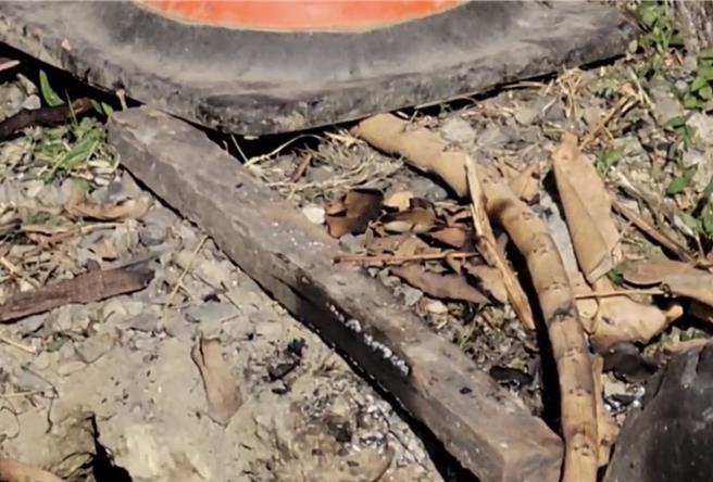 屏東縣民公園全面禁菸，但2日卻疑似有國中棒球隊學生躲在公園暗處偷抽菸還點火取暖，屏東消防局火調科3日到現場進行火調。（民眾提供／謝佳潾屏東傳真）