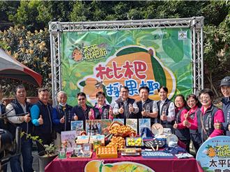 太平枇杷節有彩蛋 農遊加入藍莓採果這一趴