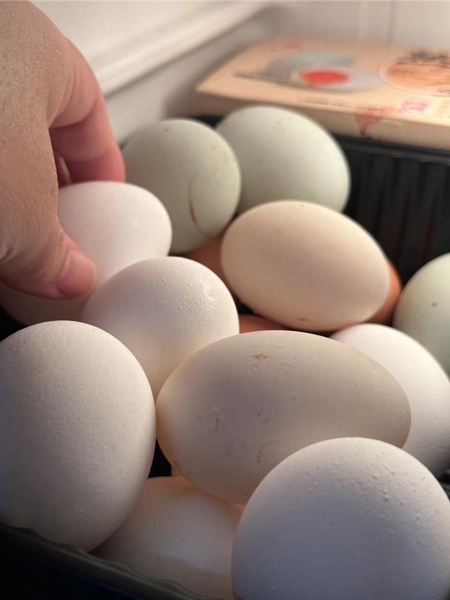 鸡蛋。（李欣恬摄，资料照片）